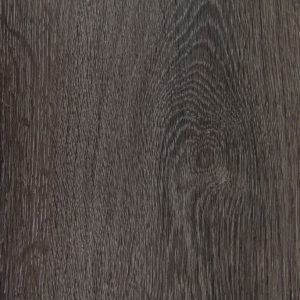 Root